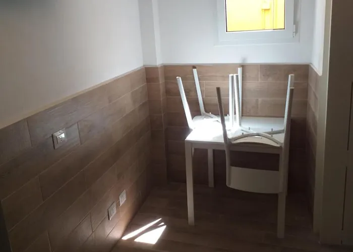 Zamboni Болонья