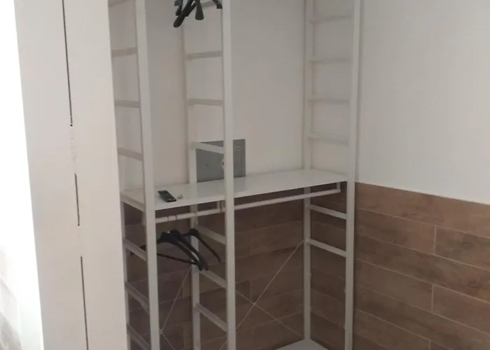 Zamboni בולוניה