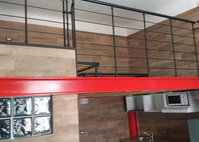 Zamboni בולוניה