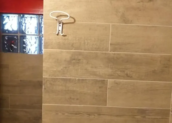 Zamboni بولونيا